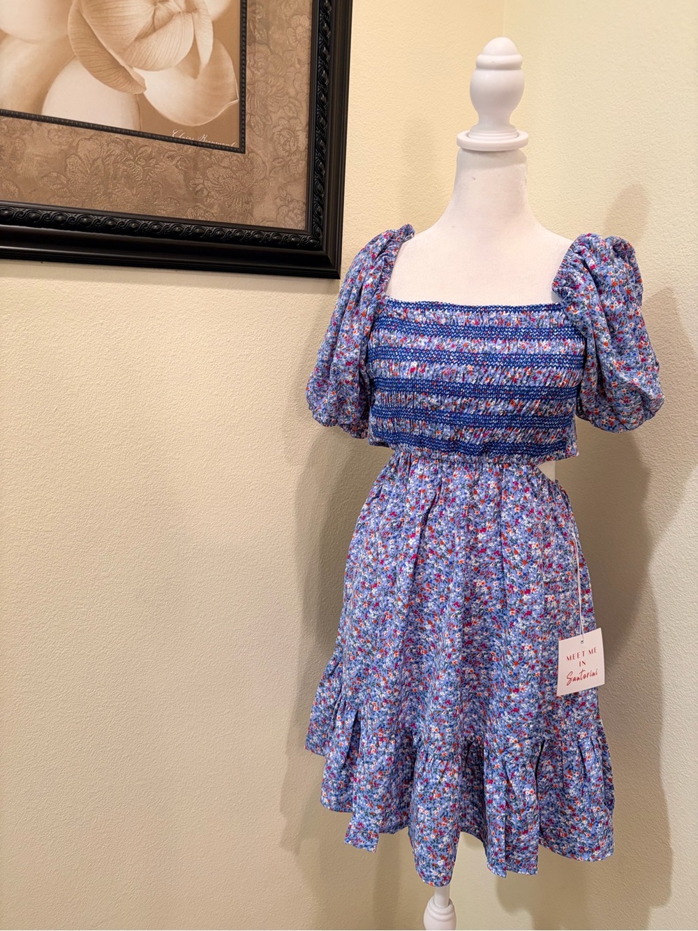 Meet Me in Santorini Blue Floral Smocked Mini Dress with Puff Sleeves sizeXS NWT